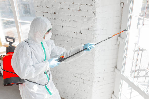 Best Mold Prevention Services  in Colton, CA